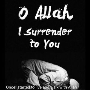 Meet your Posher, Jihad